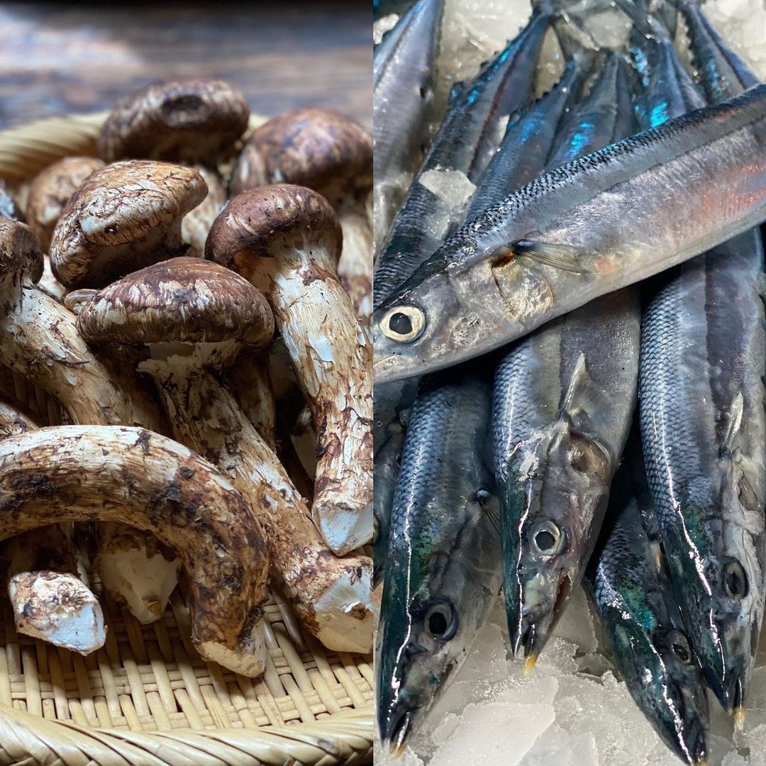 秋の味覚が続々と入荷しました 松茸は中国雲南省より お椀 焼き ご飯など色々 秋刀魚は 少し小ぶりですが 味は良いです 刺身 握り 塩焼 などで 今しか味わえない旬を 是非お召し上がりにお越しくだ 21 08 25 葉歩花庭