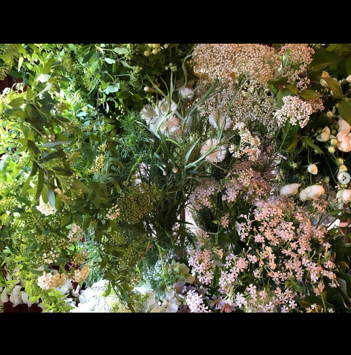 毎日の花378 こんにちは 本日は11 30 19 00の営業です 4月が始まりました 新しい年度が始まる と清々しい気持ちになります 今日もひんやりしていますが 来週は春爛漫 ぽかぽか陽気に 22 04 02 Jardin Nostalgique