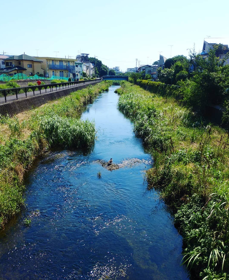 猛暑日 6 25時点の東京猛暑日は 観測史上最速とか 梅雨明けてないのかなぁ 22 06 25 Gallery坂 猛暑日 6 25時点の東京猛暑日は 観測史上最速とか 梅雨明けてないのかなぁ 22 06 25 Gallery坂