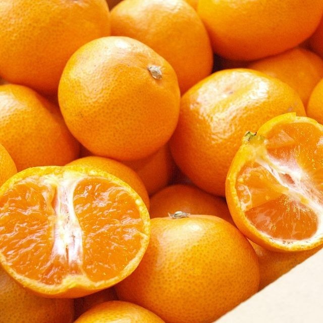 今年もやりますみかん箱 野菜箱 今年も年越し用にお得なみかん箱 野菜箱を発売します 野菜箱 80サイズいっぱい 3000 21 12 21 神楽坂野菜計画