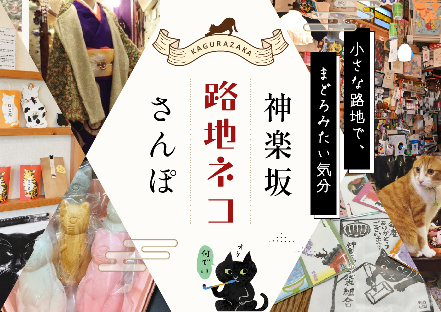 神楽坂 路地ネコさんぽ