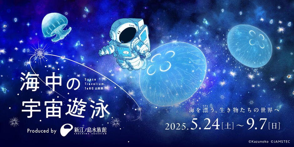 ☆。*海月の世界☆。* 海月の水槽 (@112coss_kmsy) / Posts / X