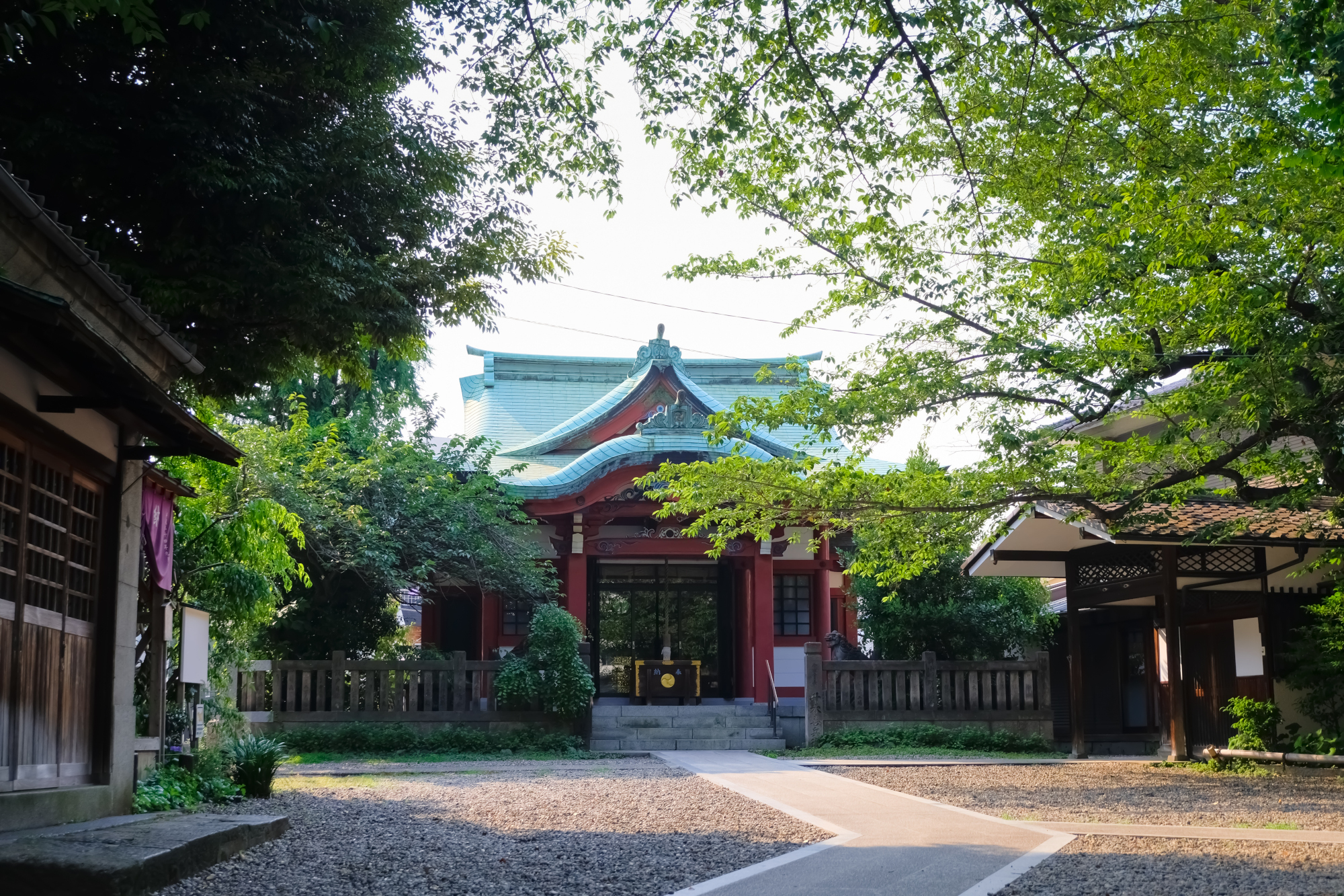 蛍めぐり祭の様子